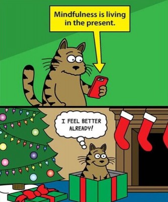Mindfulness is living in the present - cartoon.jpg