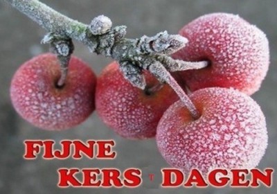 Feest Kerst FIJNE KERStDAGEN kersem aan takje.jpg