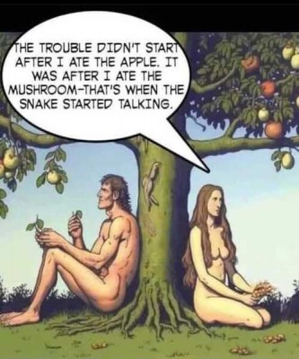 Religie Adam Eva Mushroom Started Trouble.jpg