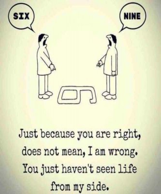 Truth Waarheid Ik zie ikzie Zes six negen nine 6 9 just because you right not mean i am wrong - tekening - ZW.jpg