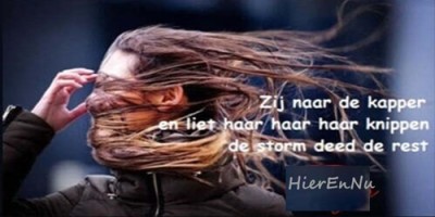 Haiku Haar Haar Haar.jpg