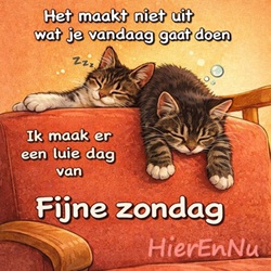 Goede Vandaag 07 260118 Fijne Luie.jpg