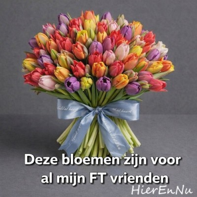 Bloemen FT.jpg