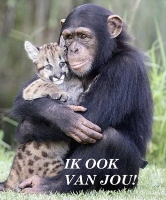 Gevoel Blij Liefde Ik Ook Van Jou.jpg